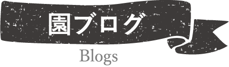 園ブログ