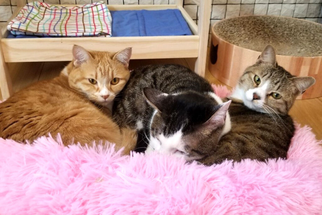 生活介護ムスビ