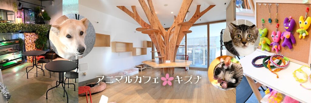 キズナカフェ