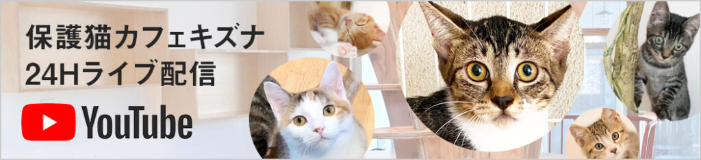 キズナ里親募集