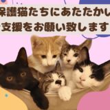 クラウドファンディングを実施しました！