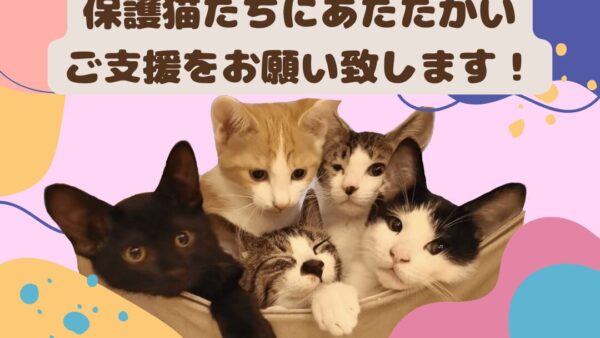 クラウドファンディングを実施しました！