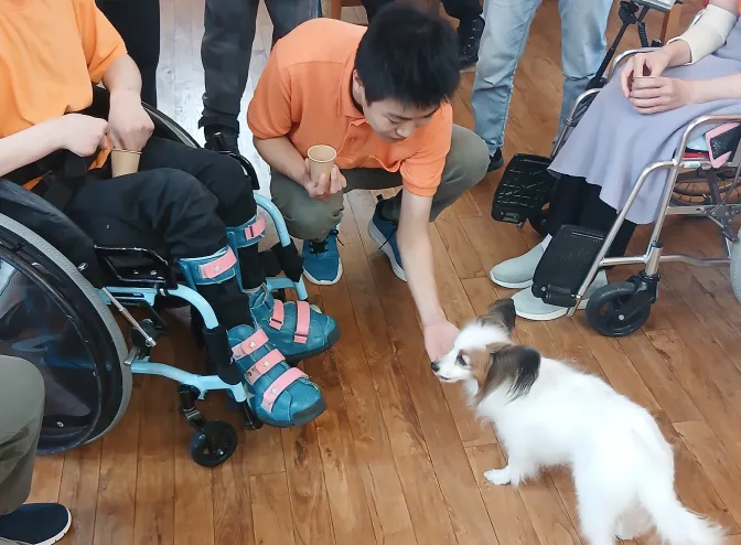 車いすの利用者と保護猫がふれあう様子
